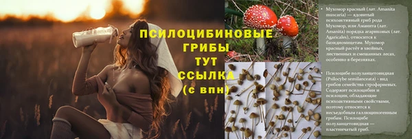 скорость Алексин